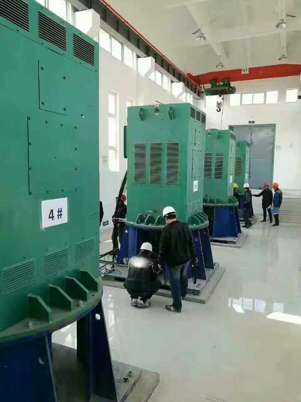 Y6302-2某污水处理厂使用我厂的立式高压电机安装现场