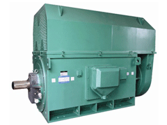Y6302-2Y系列6KV高压电机