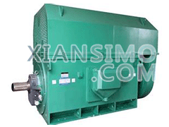 Y6302-2YXKK(2极)高效高压电机技术参数
